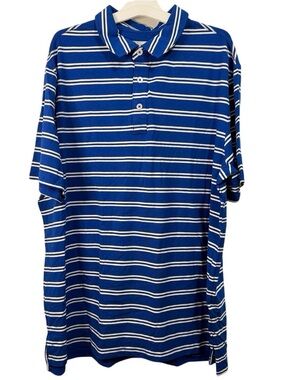 Goodfellow & Co Blue and White Striped Polo Shirt